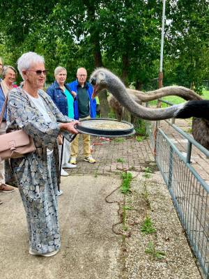 Friesland_2_original